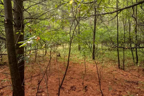 deer path, Hancock, WI 54943 photo 13