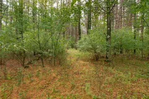 deer path, Hancock, WI 54943 photo 16