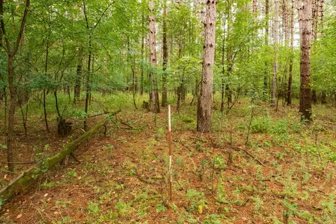 deer path, Hancock, WI 54943 photo 22