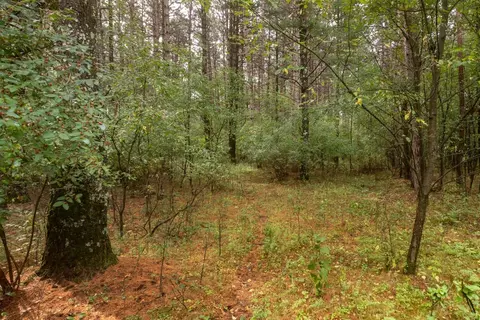 deer path, Hancock, WI 54943 photo 14