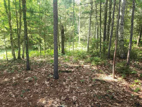 6280 E Snipe Lake Rd, Eagle River, WI 54521 photo 16
