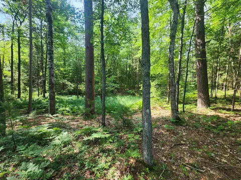 6280 E Snipe Lake Rd, Eagle River, WI 54521 photo 18