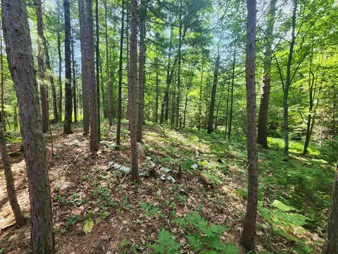 6280 E Snipe Lake Rd, Eagle River, WI 54521 photo 22