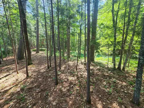6280 E Snipe Lake Rd, Eagle River, WI 54521 photo 20
