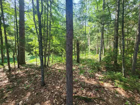 6280 E Snipe Lake Rd, Eagle River, WI 54521 photo 17