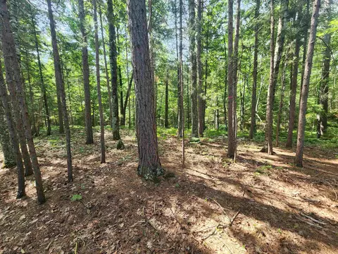 6280 E Snipe Lake Rd, Eagle River, WI 54521 photo 21