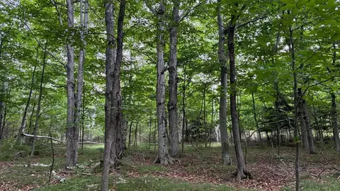 Airport Road, Washington Island, WI 54246