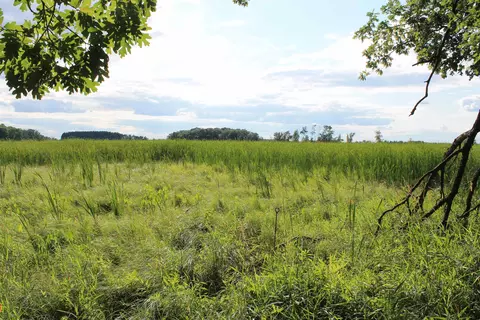 34 Th Rd, Berlin, WI 54923 photo 17