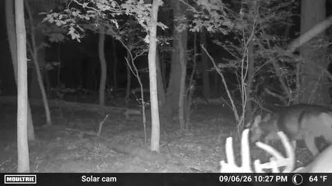 34 Th Rd, Berlin, WI 54923 photo 29
