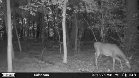 34 Th Rd, Berlin, WI 54923 photo 34