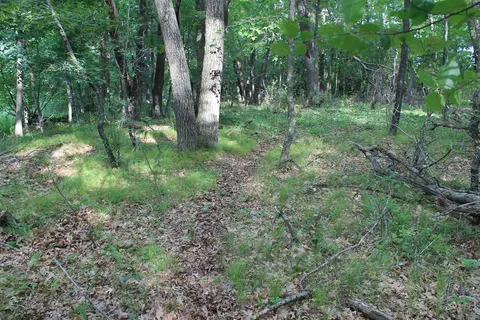 34 Th Rd, Berlin, WI 54923 photo 21