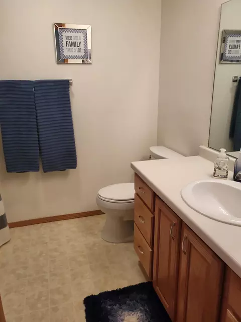 Bath - 209 Windfield Ct, Wrightstown, WI 54180 photo 3 of 3
