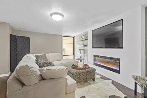 Living - 4545 W Pine St #E, Appleton, WI 54914 photo 8 of 8