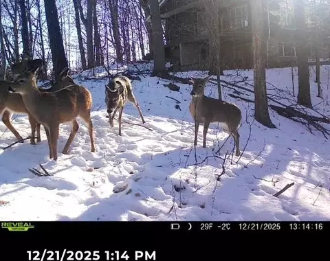 Other - 3973 W Highview Dr, Appleton, WI 54913 photo 7 of 7