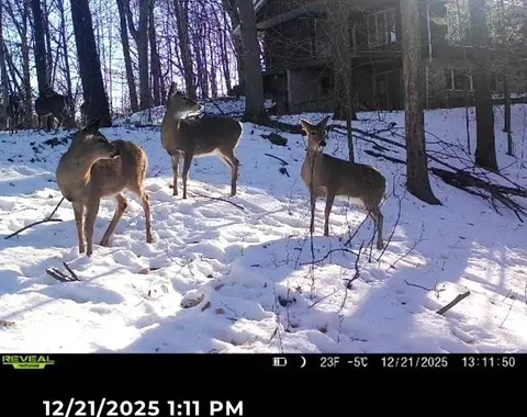 Other - 3973 W Highview Dr, Appleton, WI 54913 photo 6 of 7