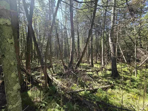 County Road 342, Wallace, MI 49893 photo 9