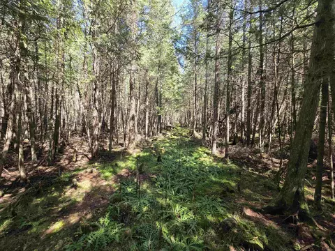 County Road 342, Wallace, MI 49893 photo 13