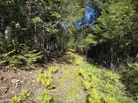County Road 342, Wallace, MI 49893 photo 7