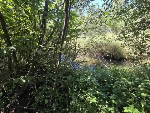County Road 342, Wallace, MI 49893 photo 17