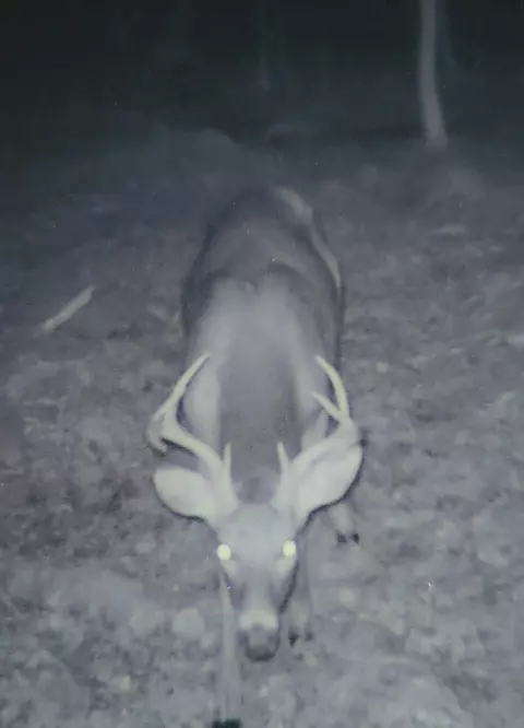 County Road 342, Wallace, MI 49893 photo 19