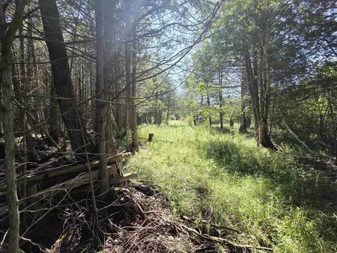 County Road 342, Wallace, MI 49893 photo 16