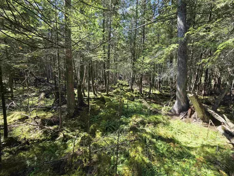 County Road 342, Wallace, MI 49893 photo 12