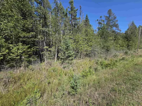 County Road 342, Wallace, MI 49893 photo 18