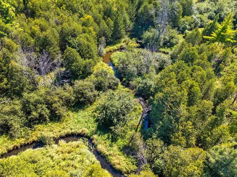 County Road 342, Wallace, MI 49893 photo 3