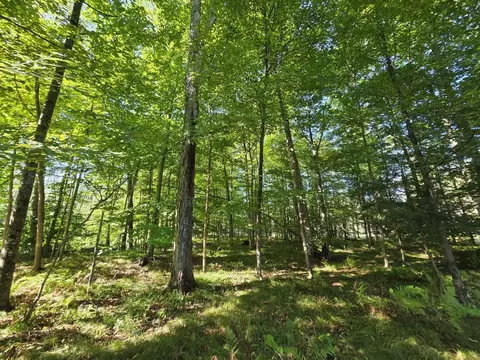 river road, Suring, WI 54174 photo 12