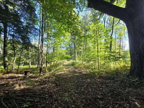 river road, Suring, WI 54174 photo 13