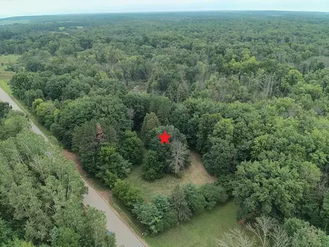 river road, Suring, WI 54174 photo 3