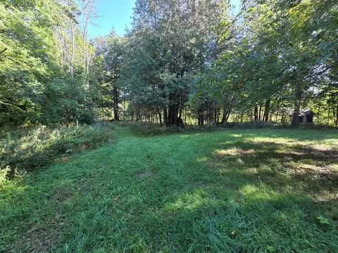 river road, Suring, WI 54174 photo 5