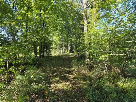 river road, Suring, WI 54174 photo 16