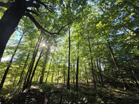 river road, Suring, WI 54174 photo 11