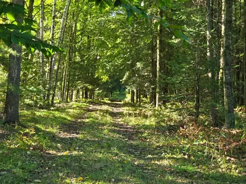 river road, Suring, WI 54174 photo 6