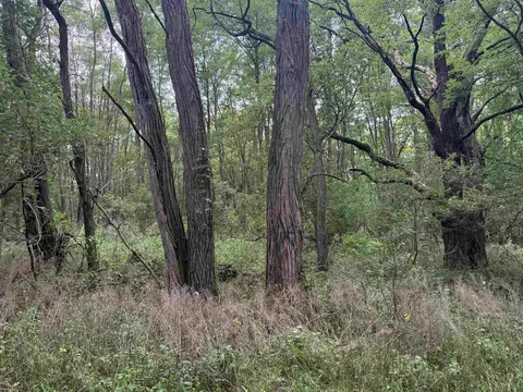 county e road, Pine River, WI 54965 photo 6