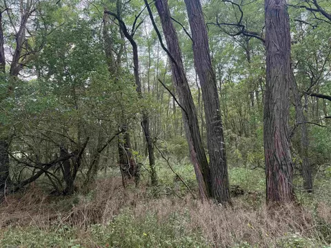 county e road, Pine River, WI 54965 photo 4