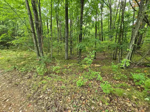 5 Acres Roush Rd, Wausaukee, WI 54177