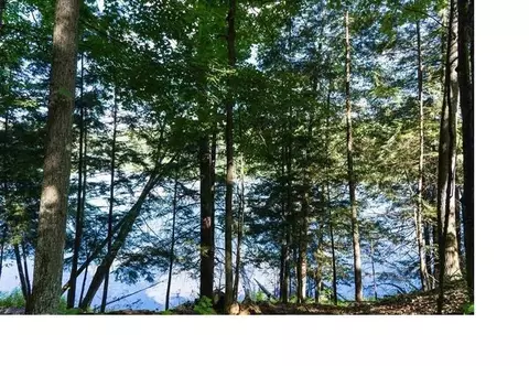 pine ridge trail, Abrams, WI 54101 photo 6