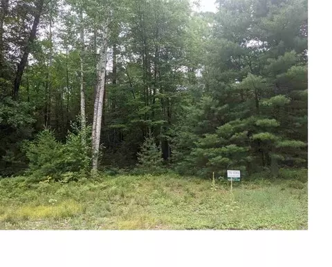 pine ridge trail, Abrams, WI 54101 photo 3