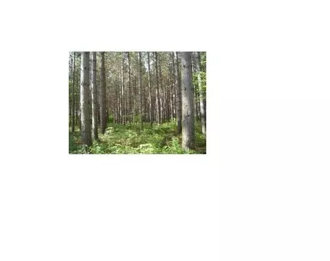 pine ridge trail, Abrams, WI 54101 photo 11
