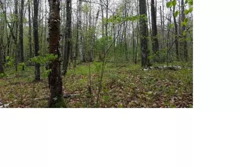 pine ridge trail, Abrams, WI 54101 photo 8