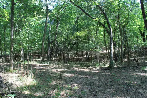 Other - w3755 Beechnut Lane, Pine River, WI 54965 photo 19 of 30