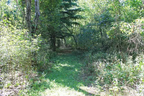 Other - w3755 Beechnut Lane, Pine River, WI 54965 photo 12 of 30