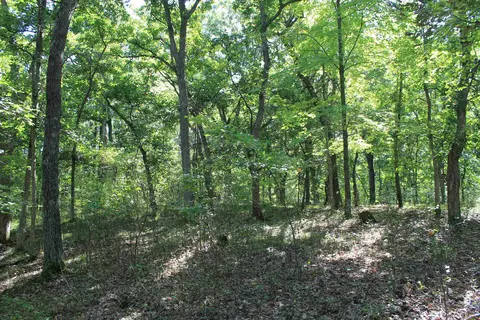 Other - w3755 Beechnut Lane, Pine River, WI 54965 photo 16 of 30
