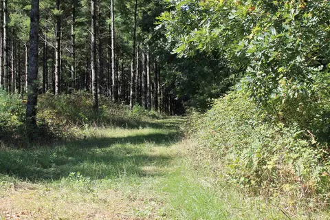 Other - w3755 Beechnut Lane, Pine River, WI 54965 photo 21 of 30