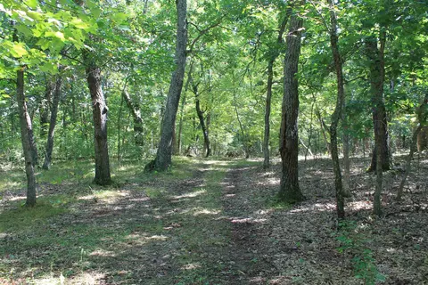 Other - w3755 Beechnut Lane, Pine River, WI 54965 photo 17 of 30