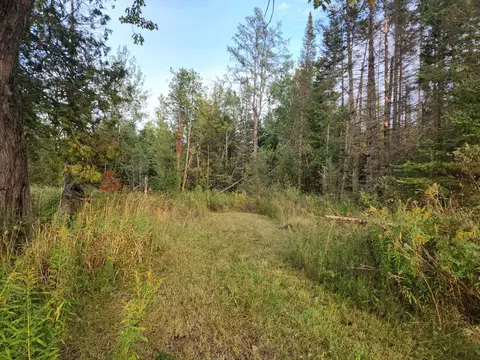 Hwy 45, Aniwa, WI 54414 photo 6