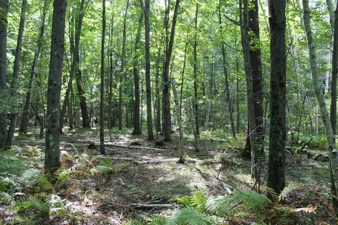 Cty Rd A, Pine River, WI 54983 photo 19