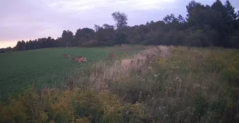 Cty Rd A, Pine River, WI 54983 photo 32